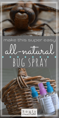 homemade bug spray
