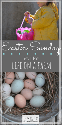 Easter Sunday on a farm