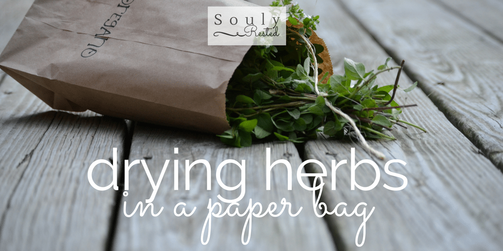 drying herbs in a paper bag » Souly Rested