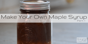 maple-syrup-part-1-fb