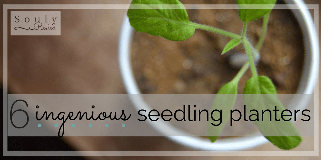 seedling planters