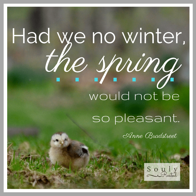 Had we no winter, the spring would not be so pleasant. » Souly Rested