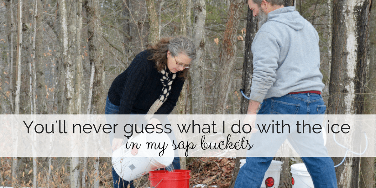 Guess why I’m excited to have ice in my sap bucket? Souly Rested