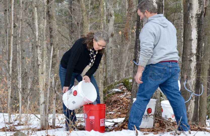 Guess why I'm excited to have ice in my sap bucket? » SoulyRested