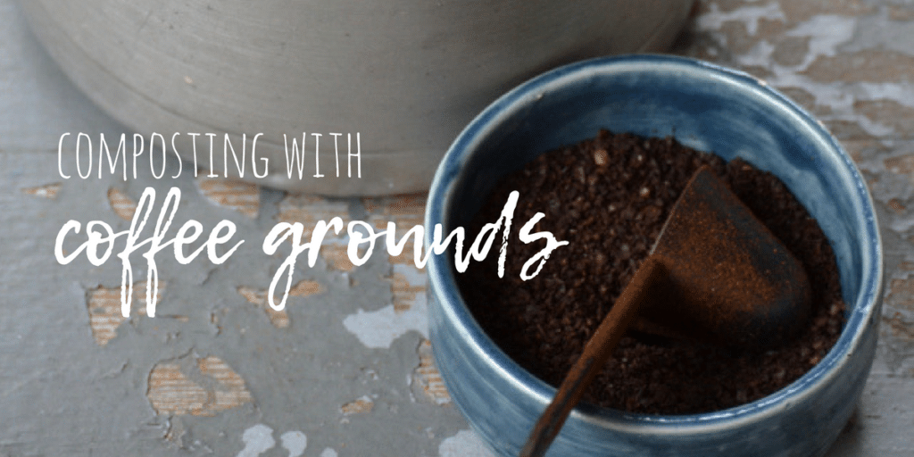 What every serious gardener needs to know about coffee grounds Souly