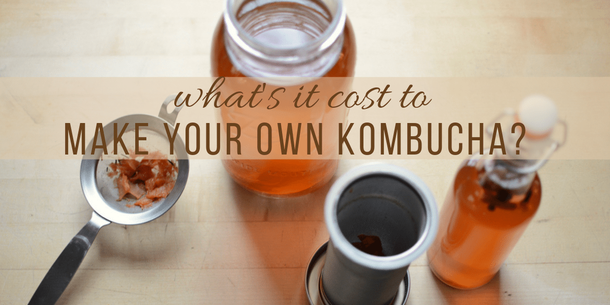 DIY Kombucha Making Kit - Farmhouse Teas