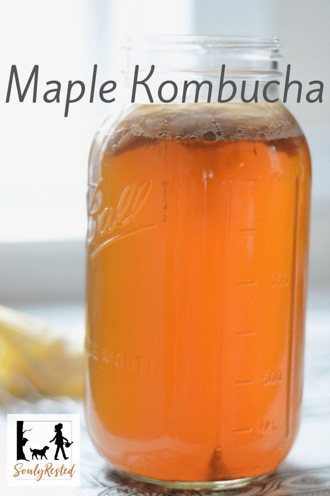 maple kombucha » Souly Rested
