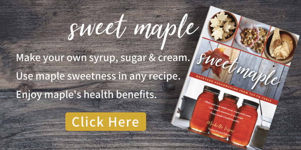 How to identify a maple tree & make syrup Souly Rested