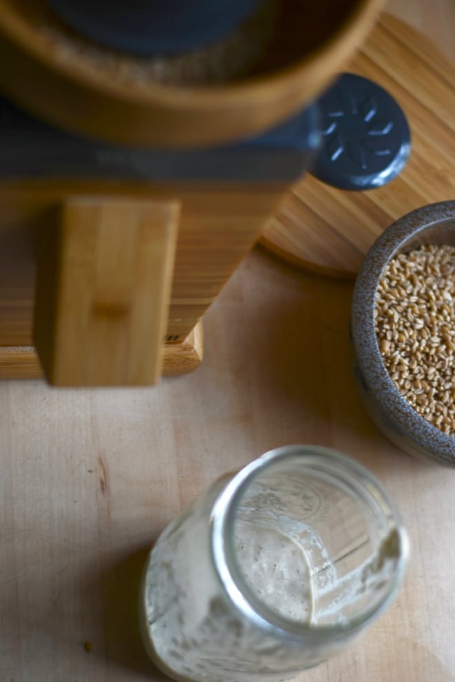 grain mill, sourdough starter and wheat berries