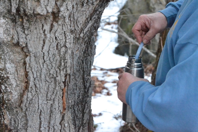 tips for making maple syrup how to fit connectors into tubbing when tapping tress and making syrup