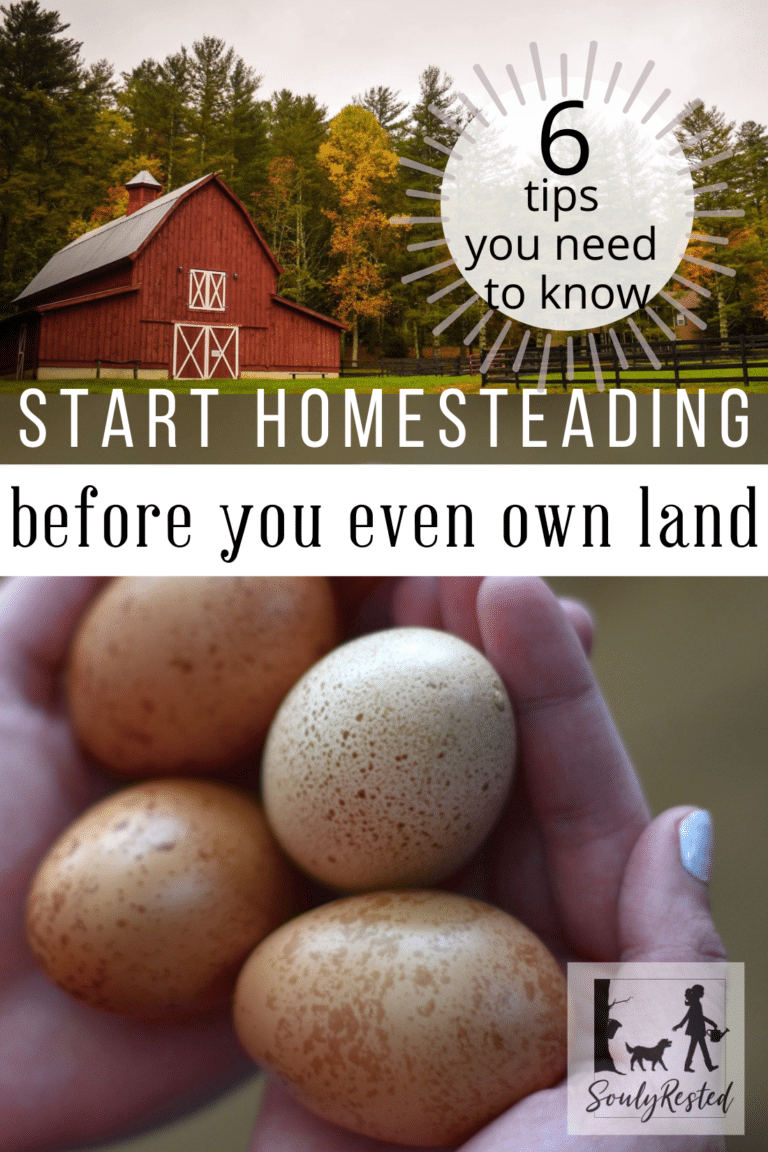 6 Ways To Start Homesteading (before You Even Own Land) - Souly Rested