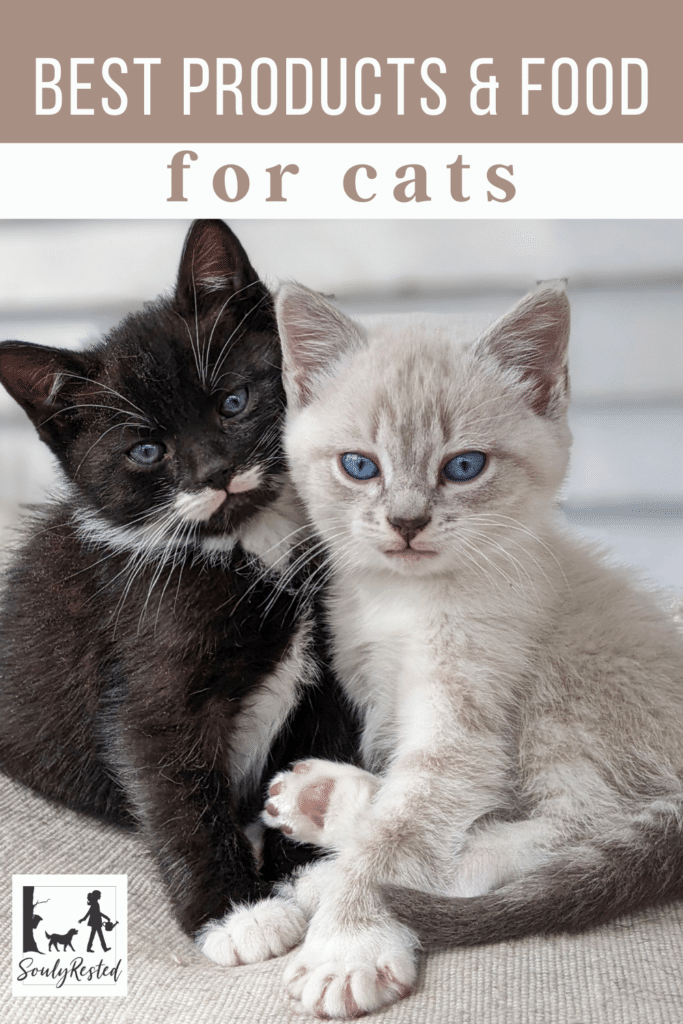 Best Products and Food for Cats » SoulyRested