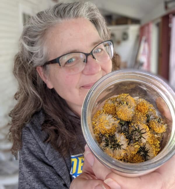 Dehydrated Dandelion Flowers… how & why Souly Rested