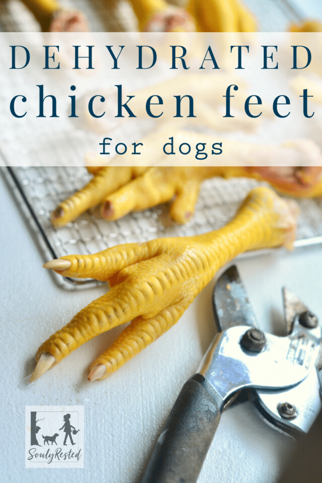 How to dehydrate chicken feet Souly Rested