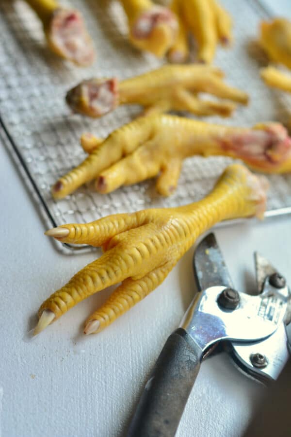 How to dehydrate chicken feet Souly Rested