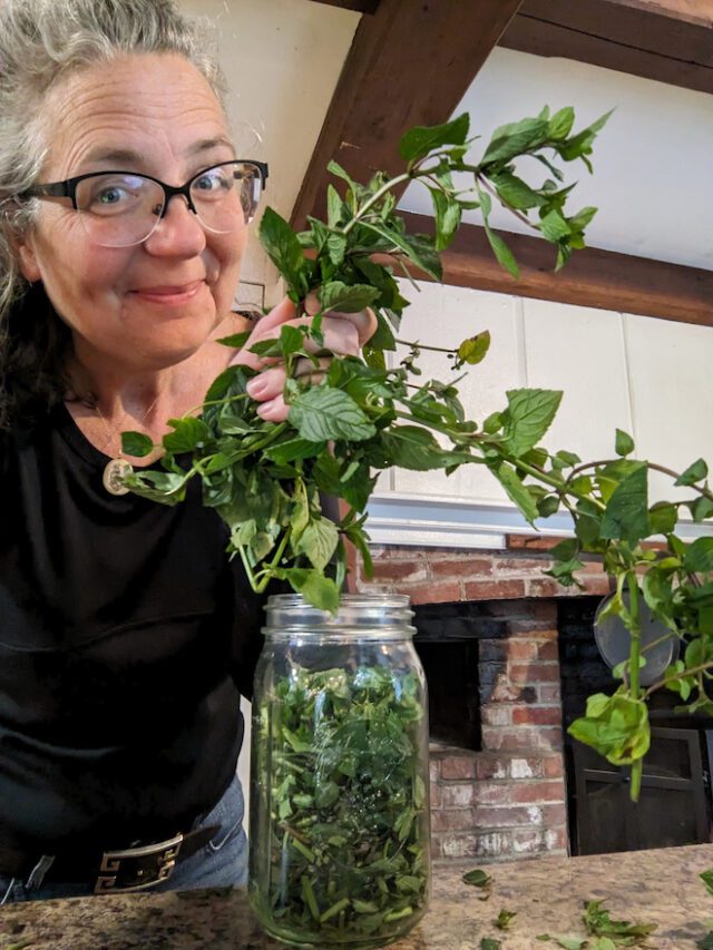 DIY Mint Extract & How to Use it Souly Rested