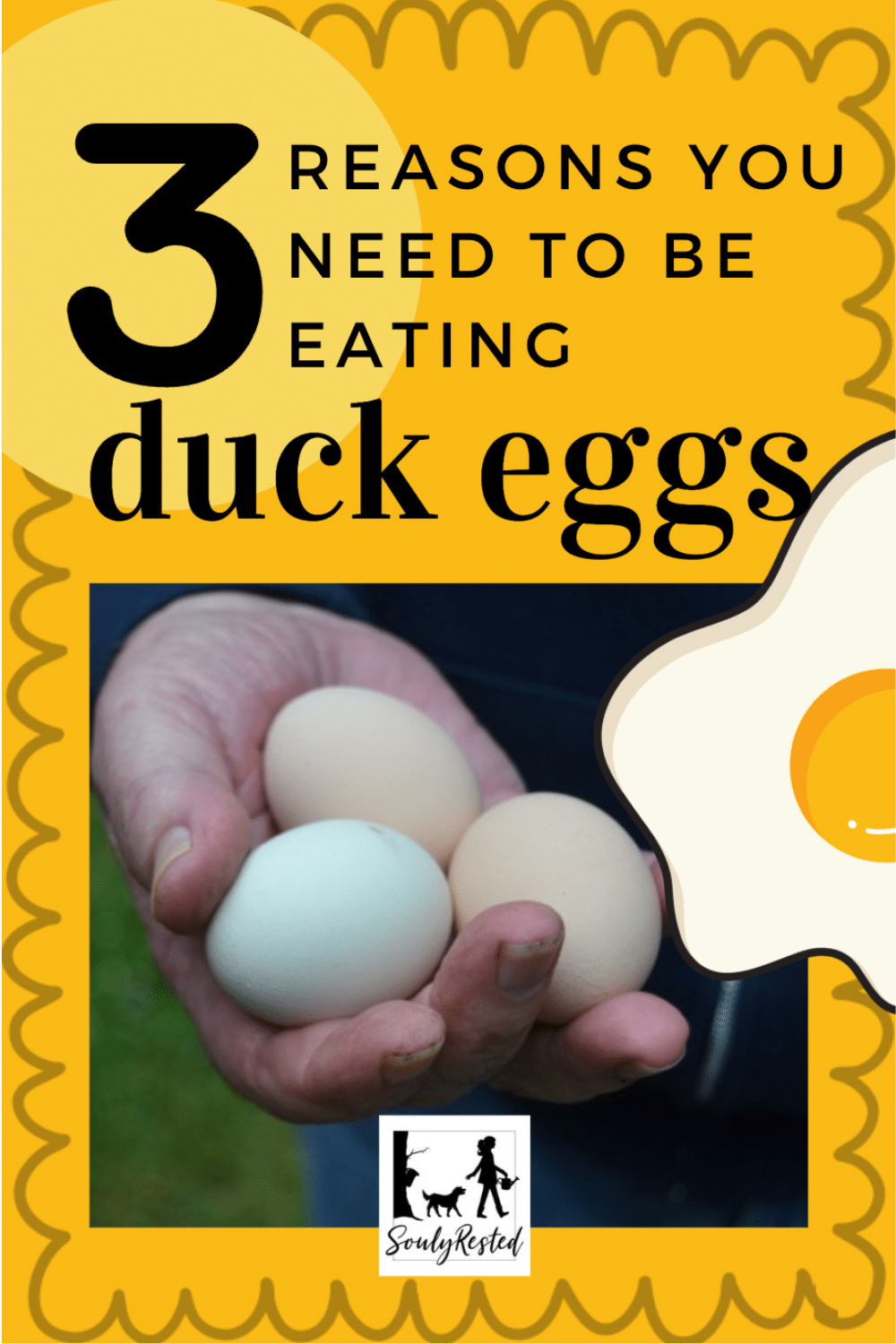 3 reasons you need to be eating duck eggs