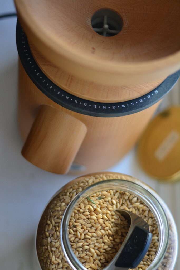 wheat berries to make flour in grain mill