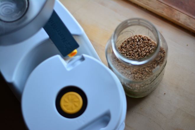 wheat berries and grain mill for homemade flour at home