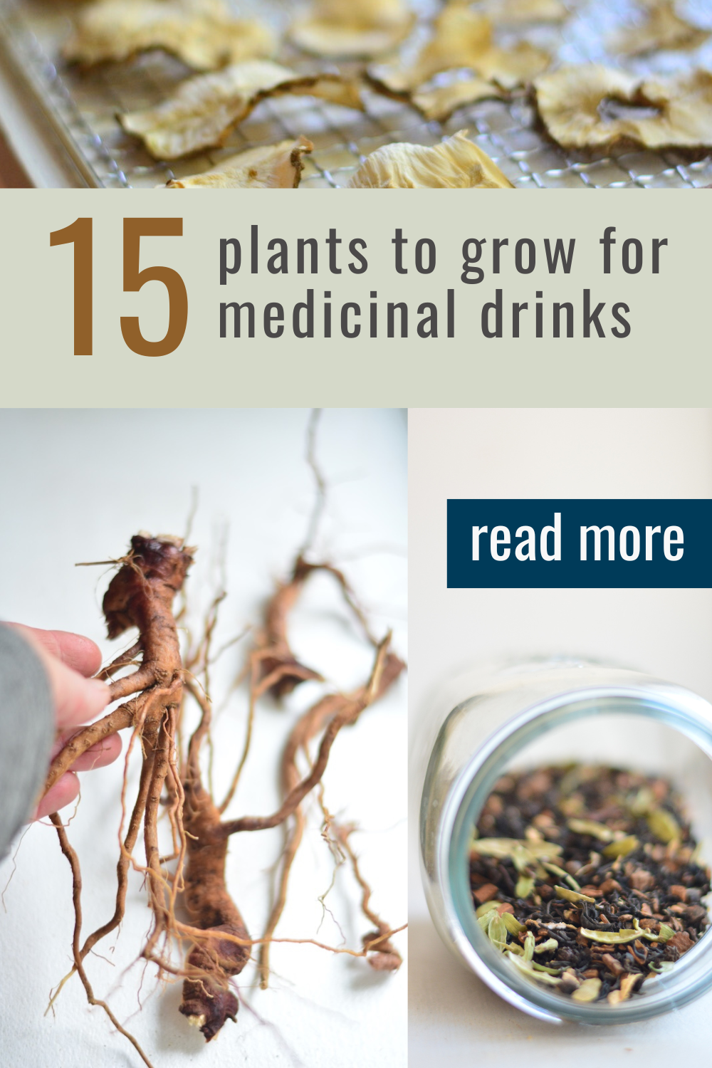 The Ultimate Guide to Herbs for Tea - Souly Rested