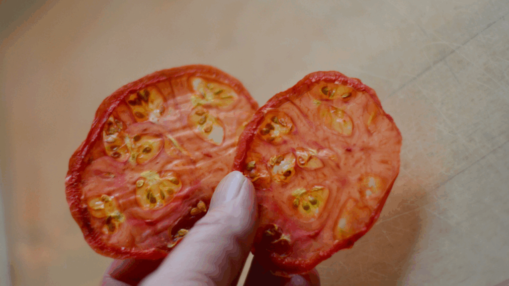 dehydrating tomatoes 101