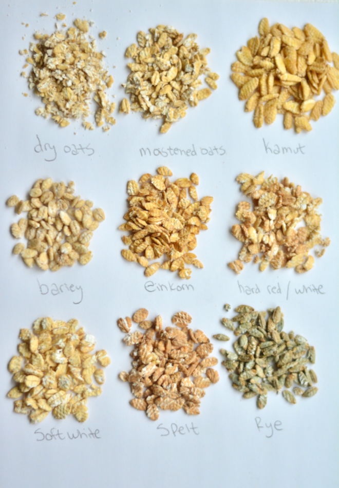 chart of all the different grains you can flake. Rolled grains of all types