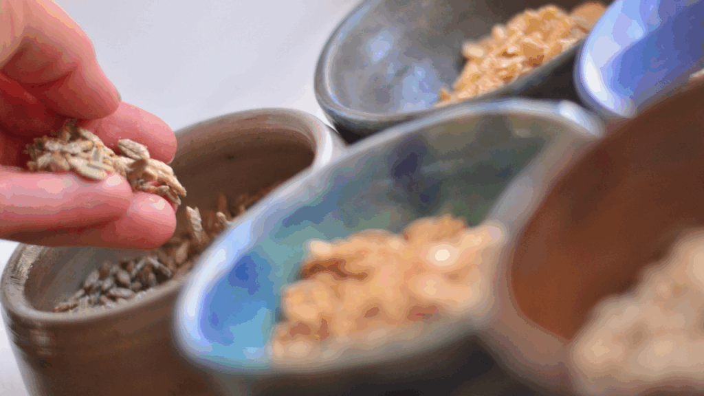 make rolled oats, flaked grains at home. different flaked grains in bowls