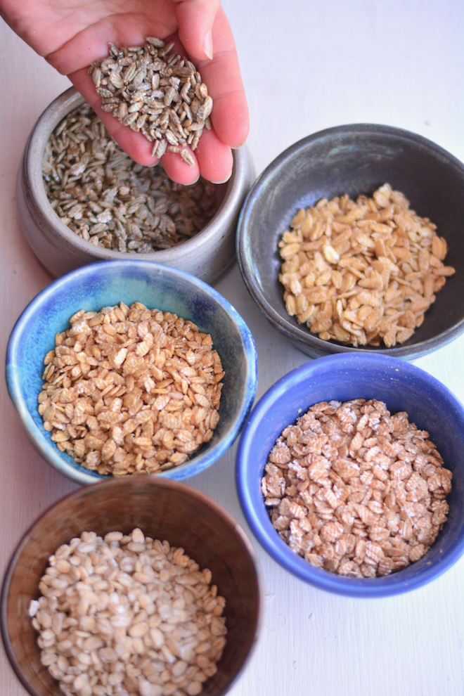 rolled oats along with flaked rye, flaked barley, flaked kamut, and flaked oats