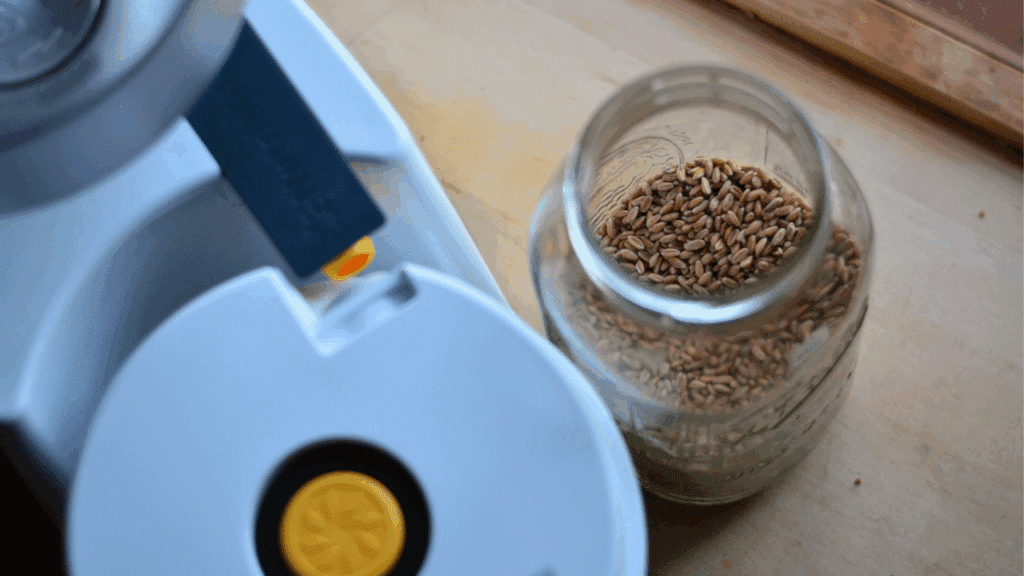 how to use fresh flour in any recipe