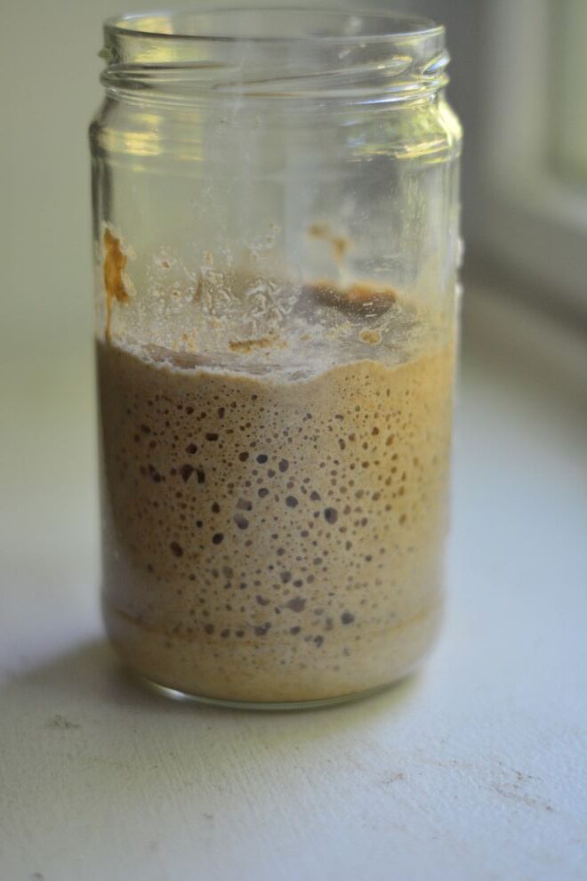 Sourdough starter made from fresh flour, ground wheat berries