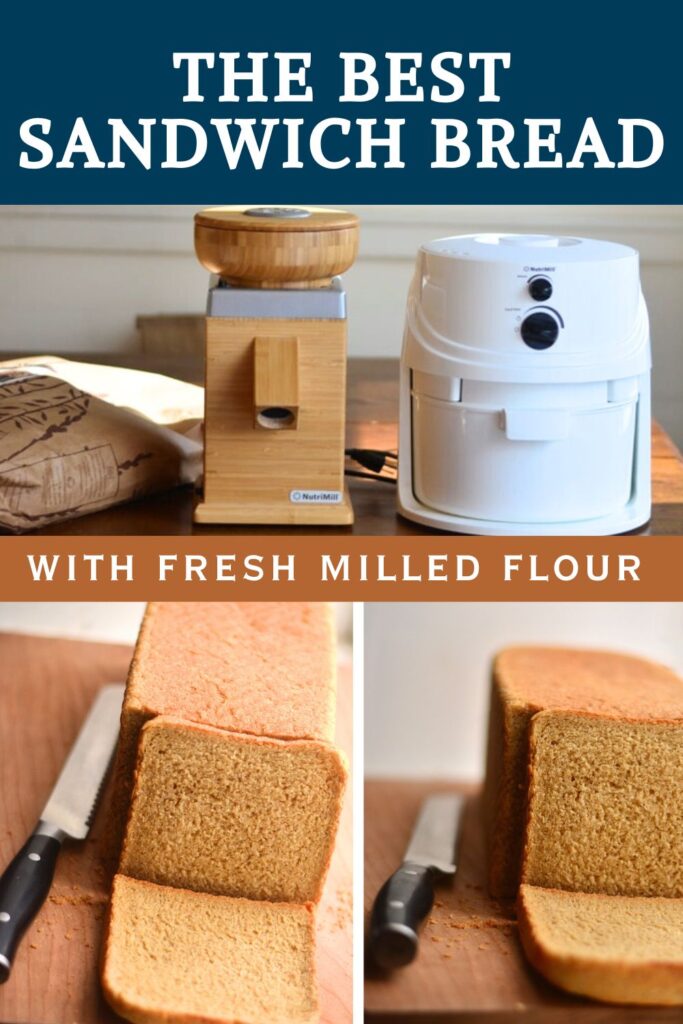 pullman loaf, sandwich bread made with fresh milled flour using grain mill