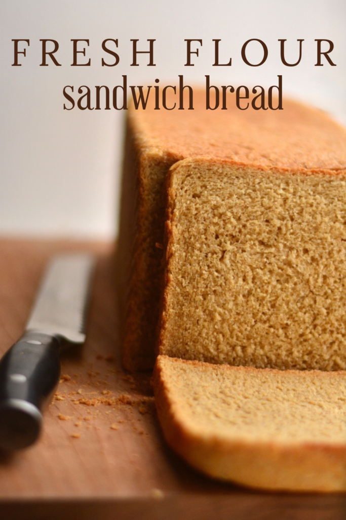 fresh milled flour sandwich bread recipe