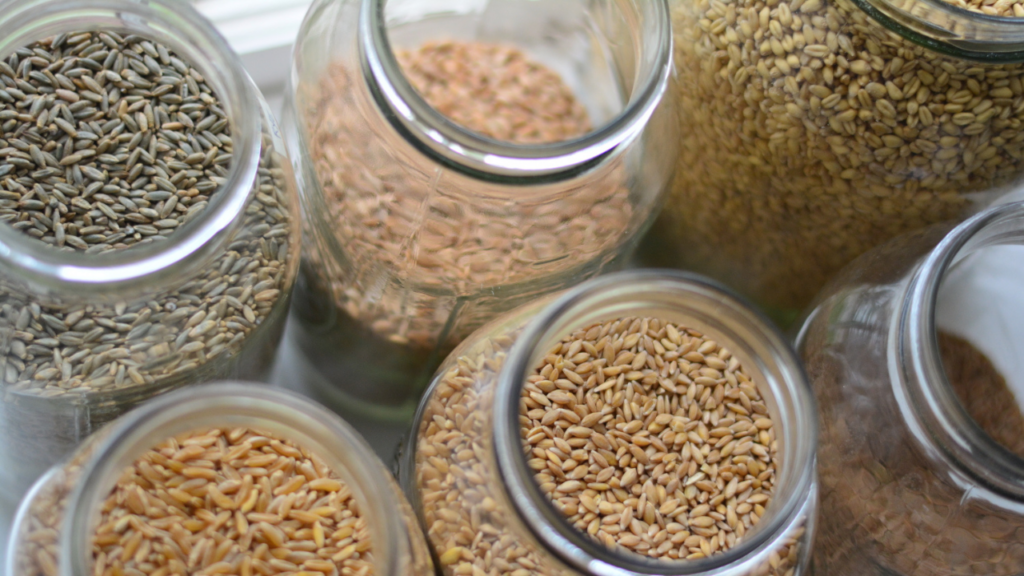 Jars of wheat berries, what wheat berries to use