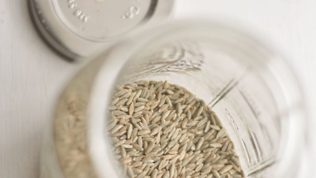 freezing rye wheat berries, frozen grains in jar