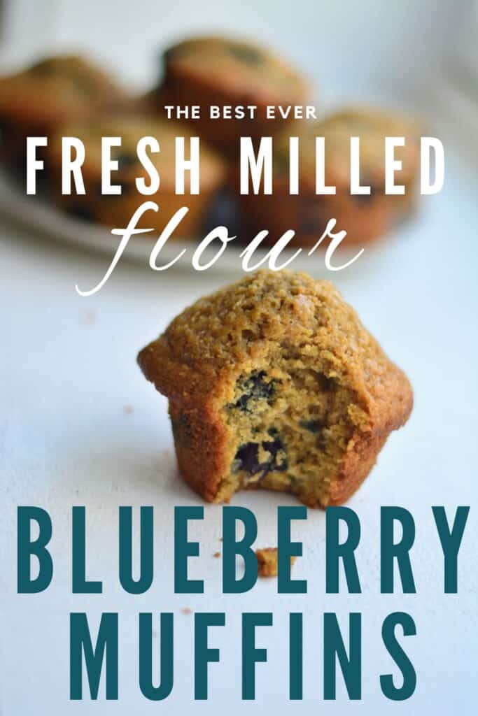 whole wheat blueberry muffin recipe. Text reads "the best ever fresh milled flour blueberry muffins"