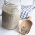 Rye wheat berries with fresh milled sourdough starter