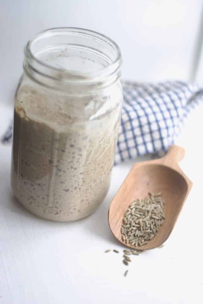 Rye wheat berries with fresh milled sourdough starter