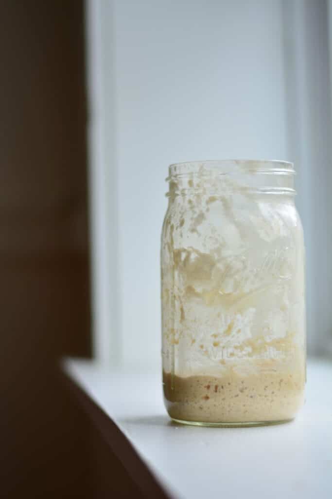 sourdough starter made with fresh flour in a jar, sitting in a window