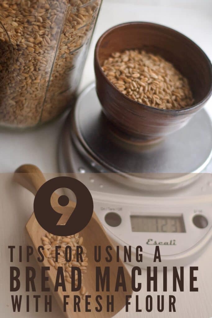 9 tips for using fresh flour in a bread machine