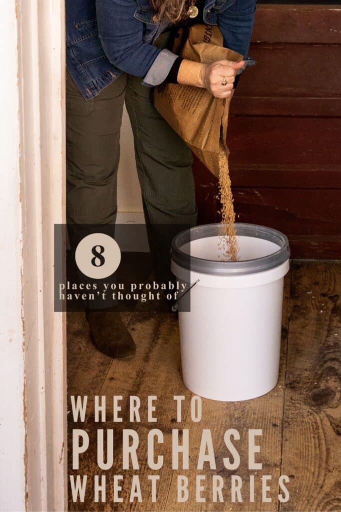 text reads "where to purchase wheat berries" with image of wheat berries pouring into a bucket