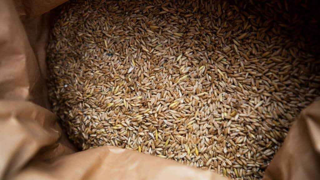 where to purchase wheat berries for fresh milled flour