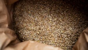 where to purchase wheat berries for fresh milled flour
