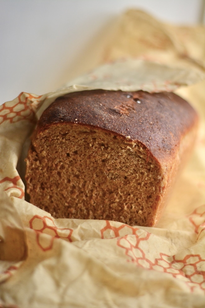 fresh milled (hard red wheat) sourdough sandwich bread loaf, wrapped in beeswax wrap for storage