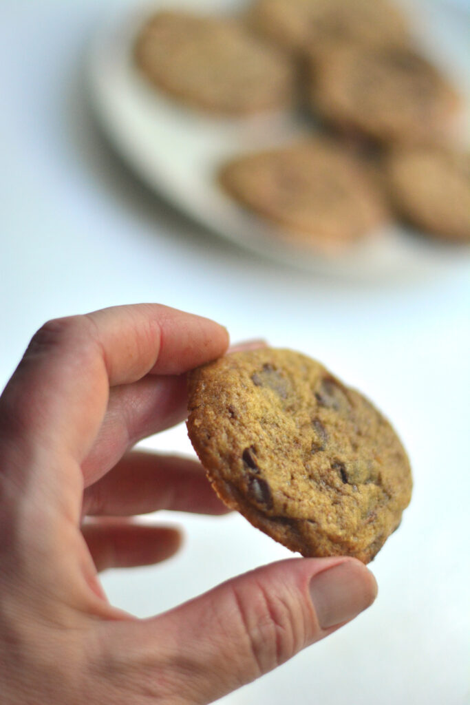 fresh milled einkorn chocolate chip cookies