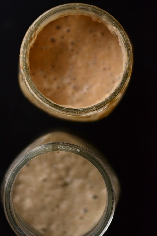fresh milled sourdough starter, fed with fresh flour rye