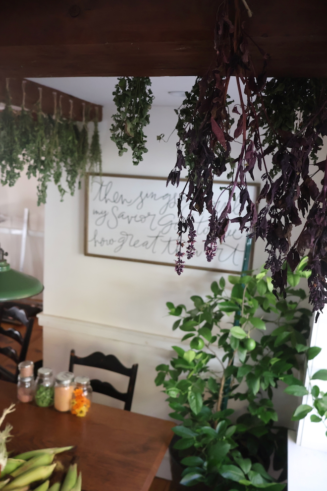 purple basil and other herbs hanging to dry from the beams in an old farmhouse kitchen 
