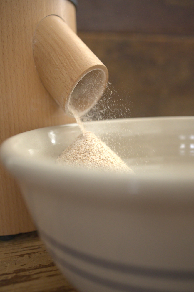 fresh milled flour coming out of a grain mill, whole wheat flour in a bowl